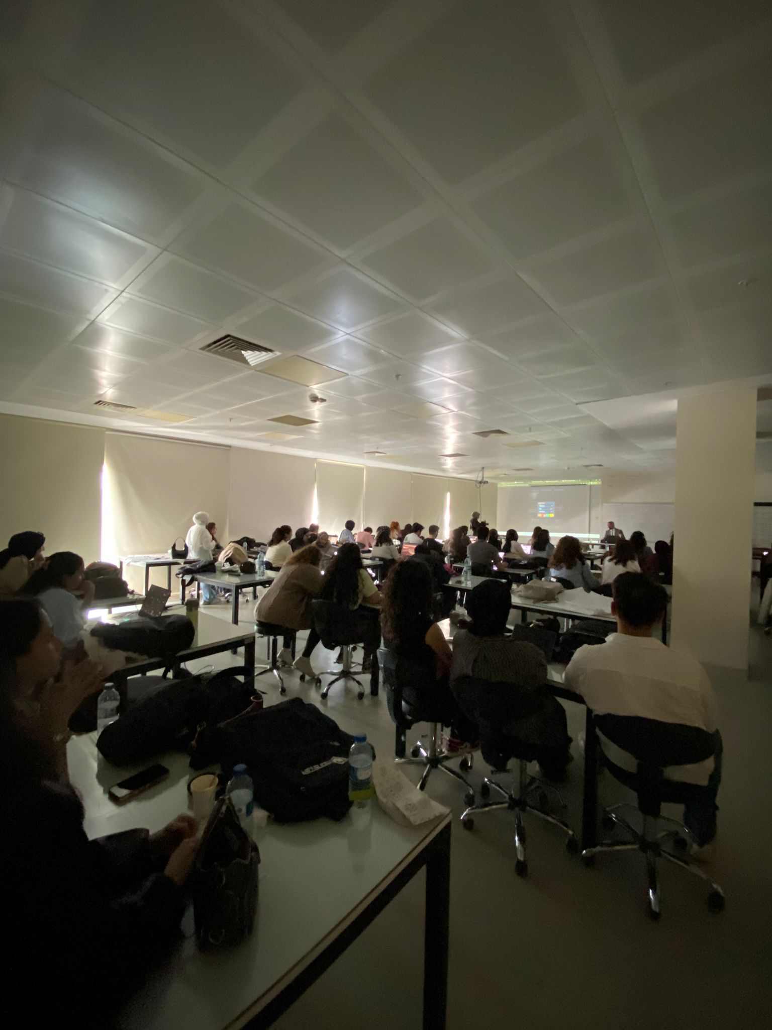 Mimerra Workshop