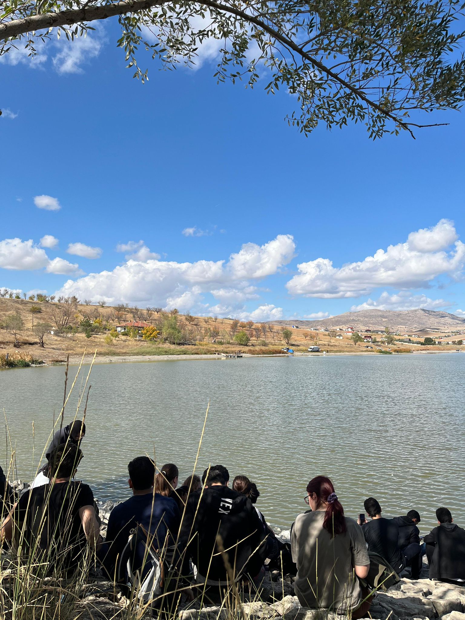 WhatsApp Image 2024-10-15 at 09.37.49 (2).jpeg