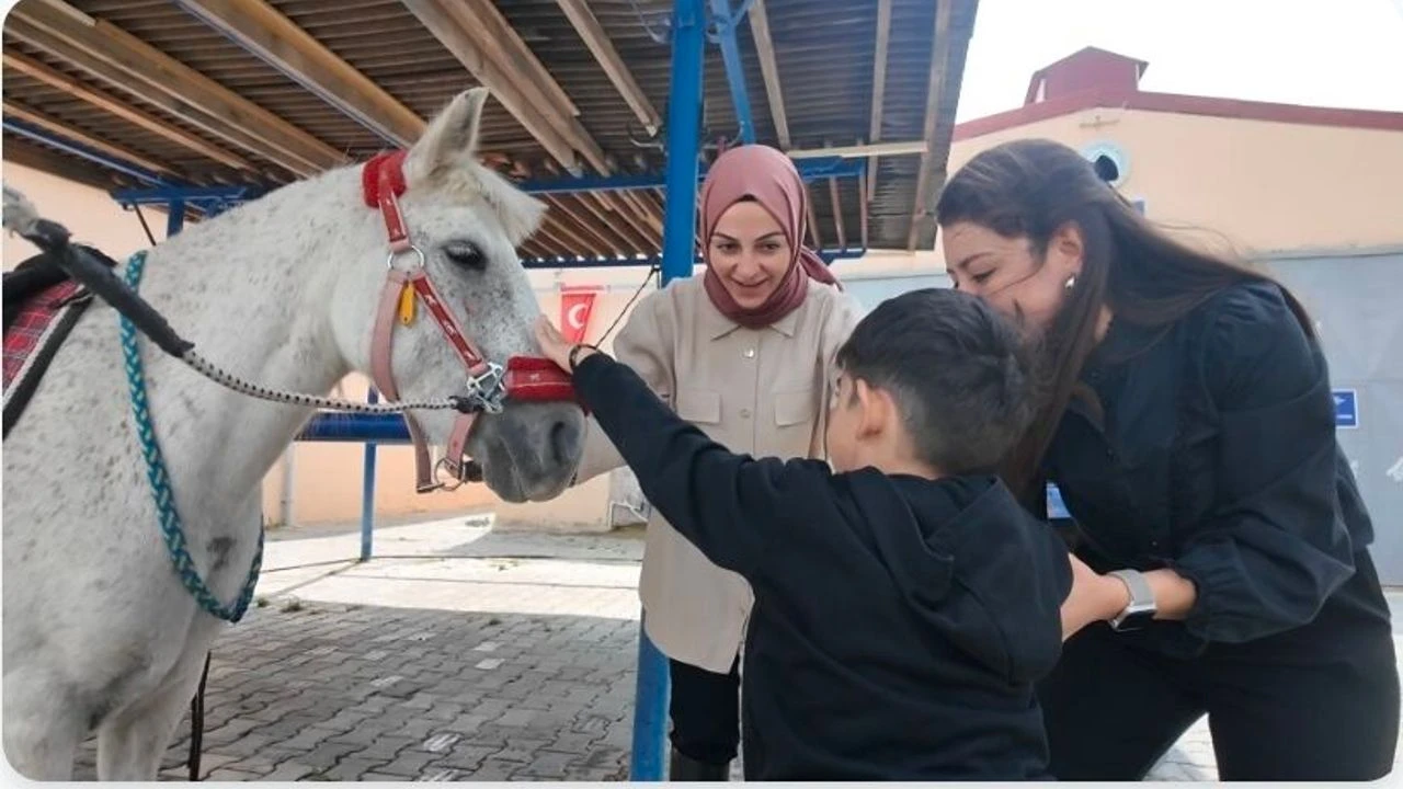Atların ritmiyle yaşam kalitesi nasıl destekleniyor! 