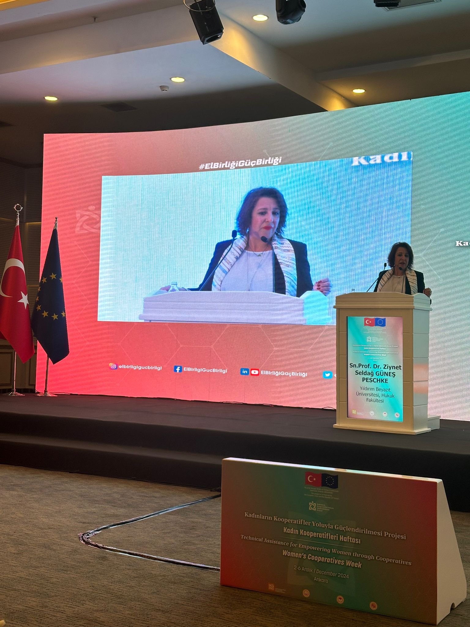 WhatsApp Image 2024-12-09 at 09.34.54.jpeg