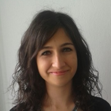 Dr. Öğr. Üyesi Nur ELİBOL PEKASLAN