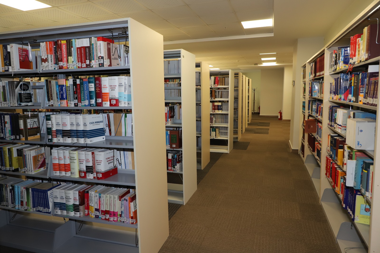 WhatsApp Image 2024-03-25 at 16.30.17.jpeg