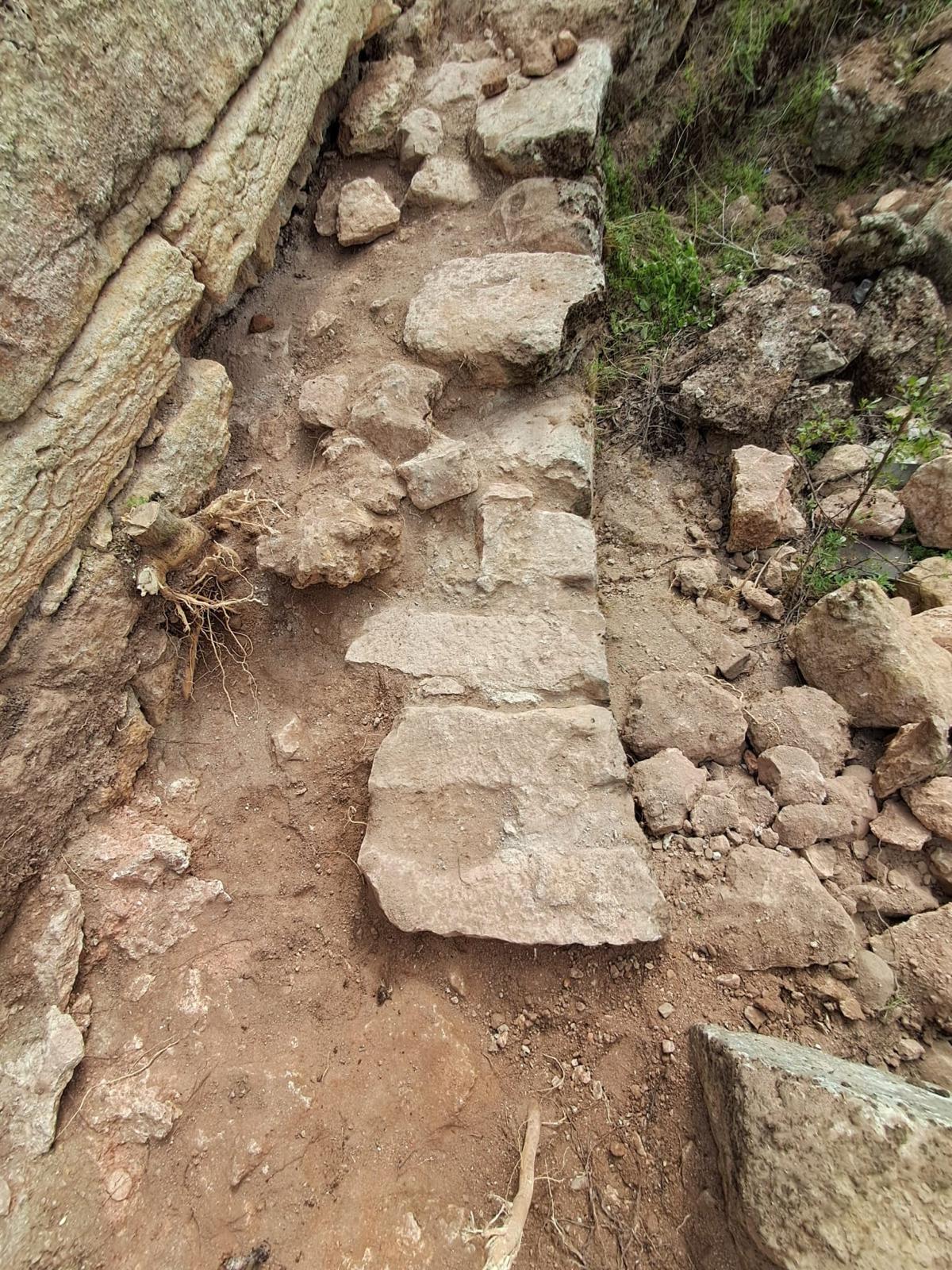 WhatsApp Image 2025-07-29 at 16.03.00 (3).jpeg