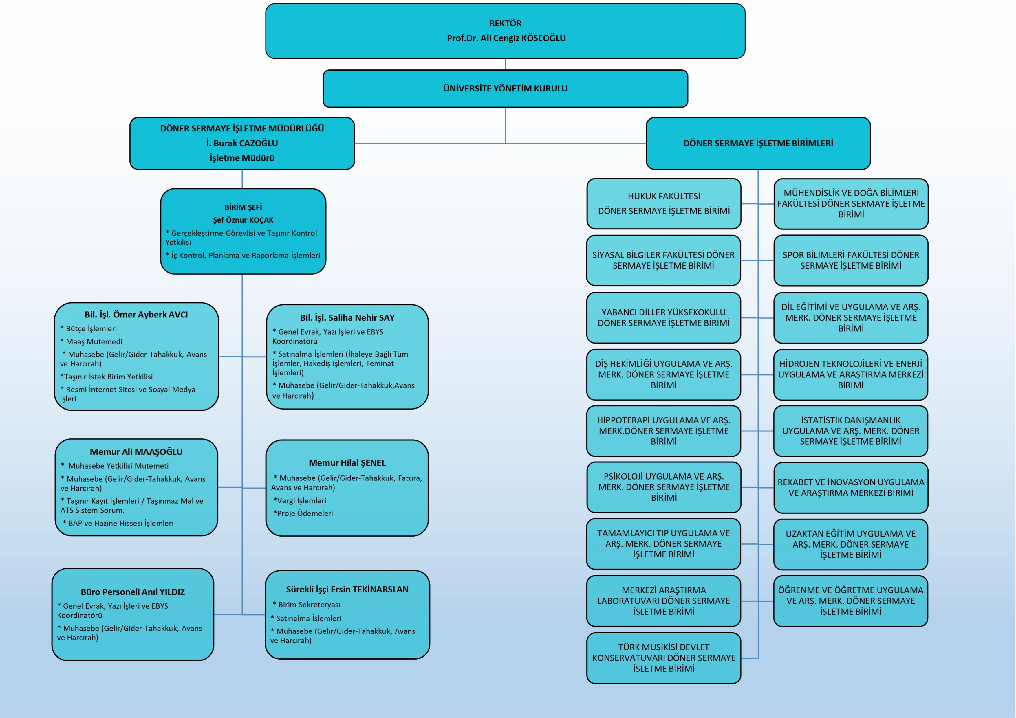 Organizasyon Şeması