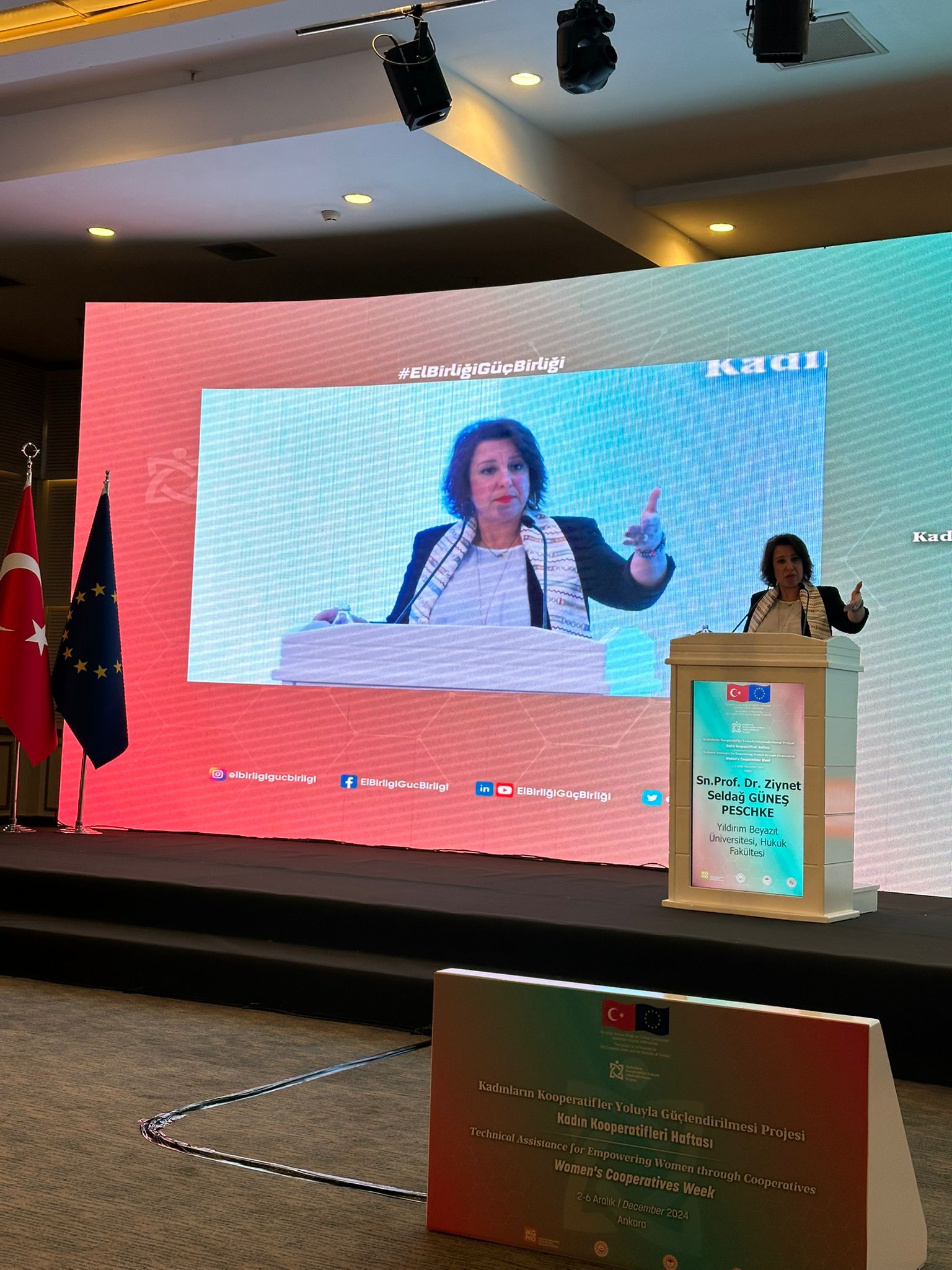 WhatsApp Image 2024-12-09 at 09.33.13.jpeg