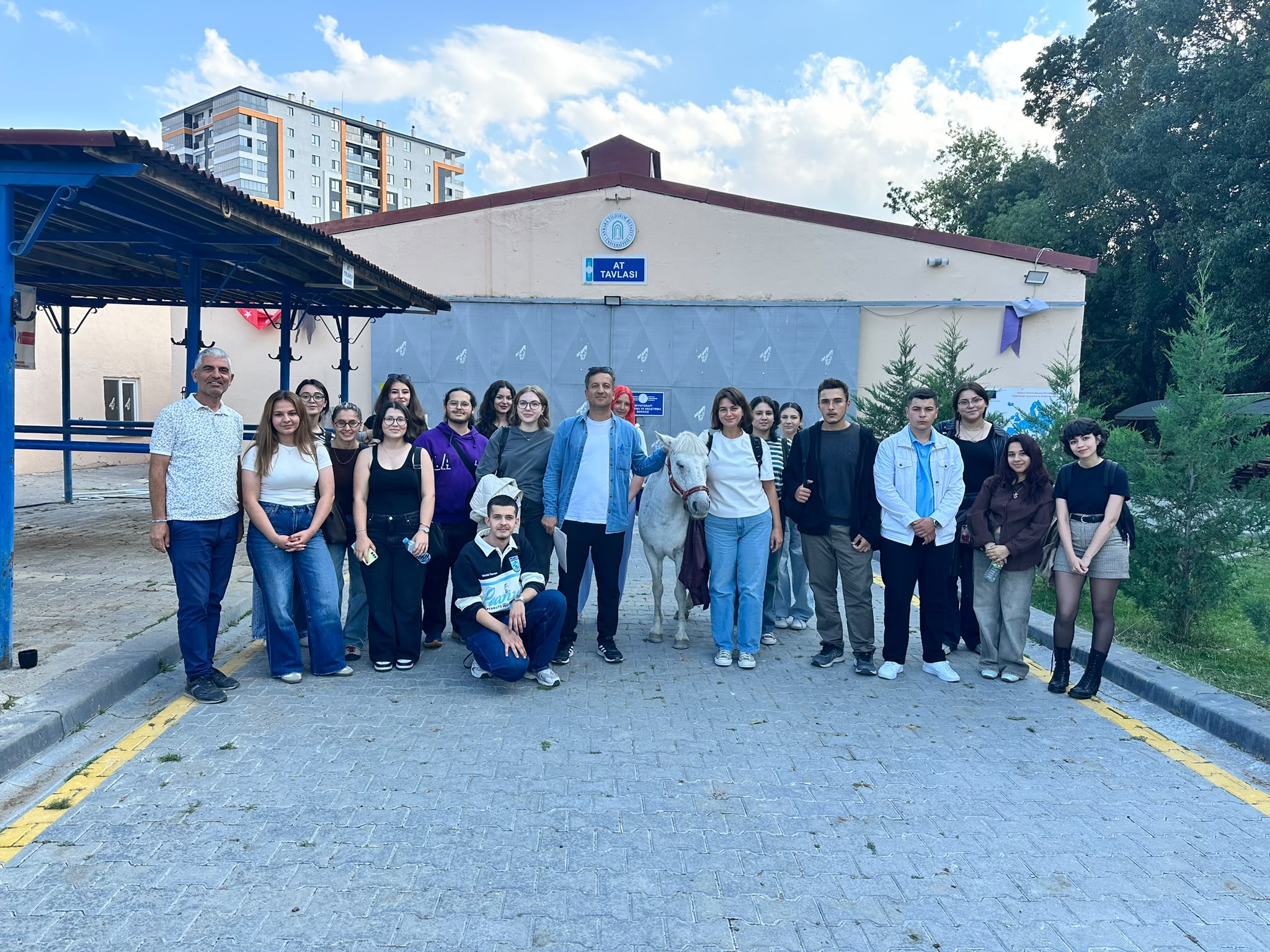 At Yetiştiriciliğinde Teori Sahada Uygulamaya Dönüşüyor haber görseli