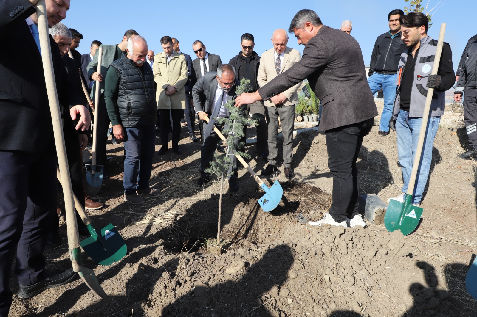 WhatsApp Image 2025-11-11 at 16.19.36.jpeg