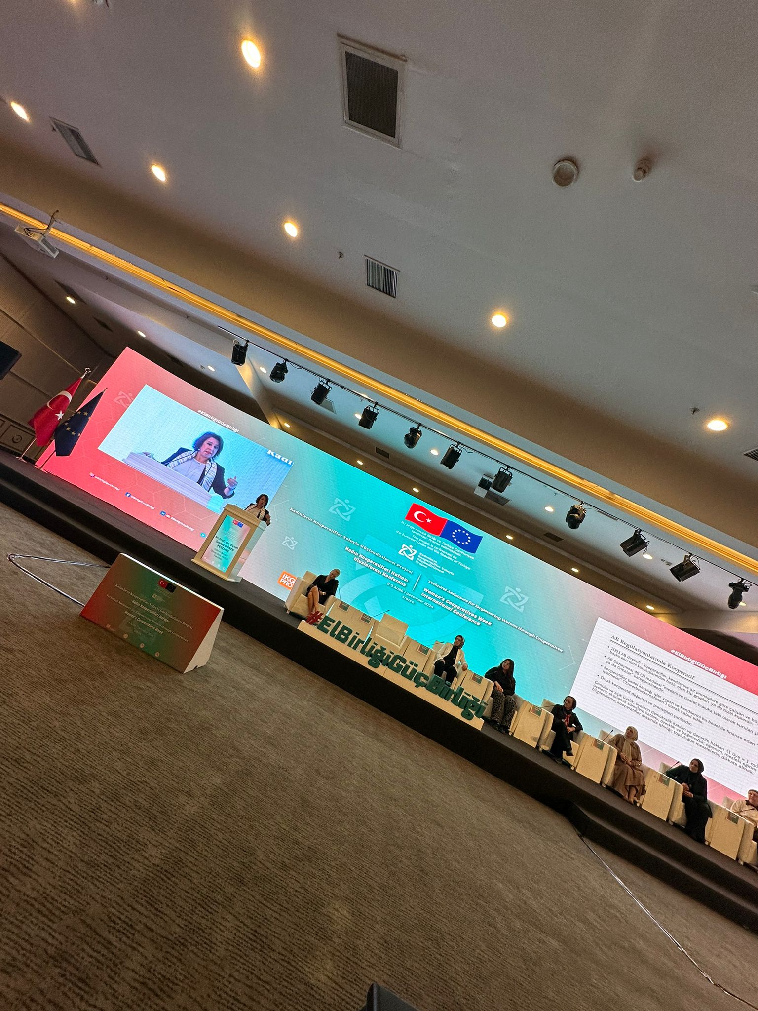 WhatsApp Image 2024-12-09 at 09.33.14.jpeg