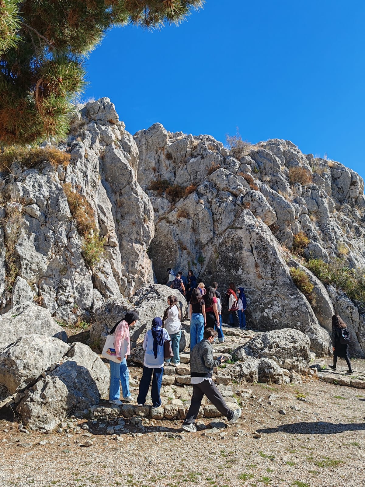 WhatsApp Görsel 2025-11-06 saat 12.51.56_fd26d754.jpg