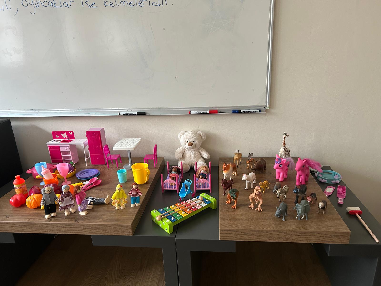 WhatsApp Image 2026-02-09 at 15.28.09.jpeg