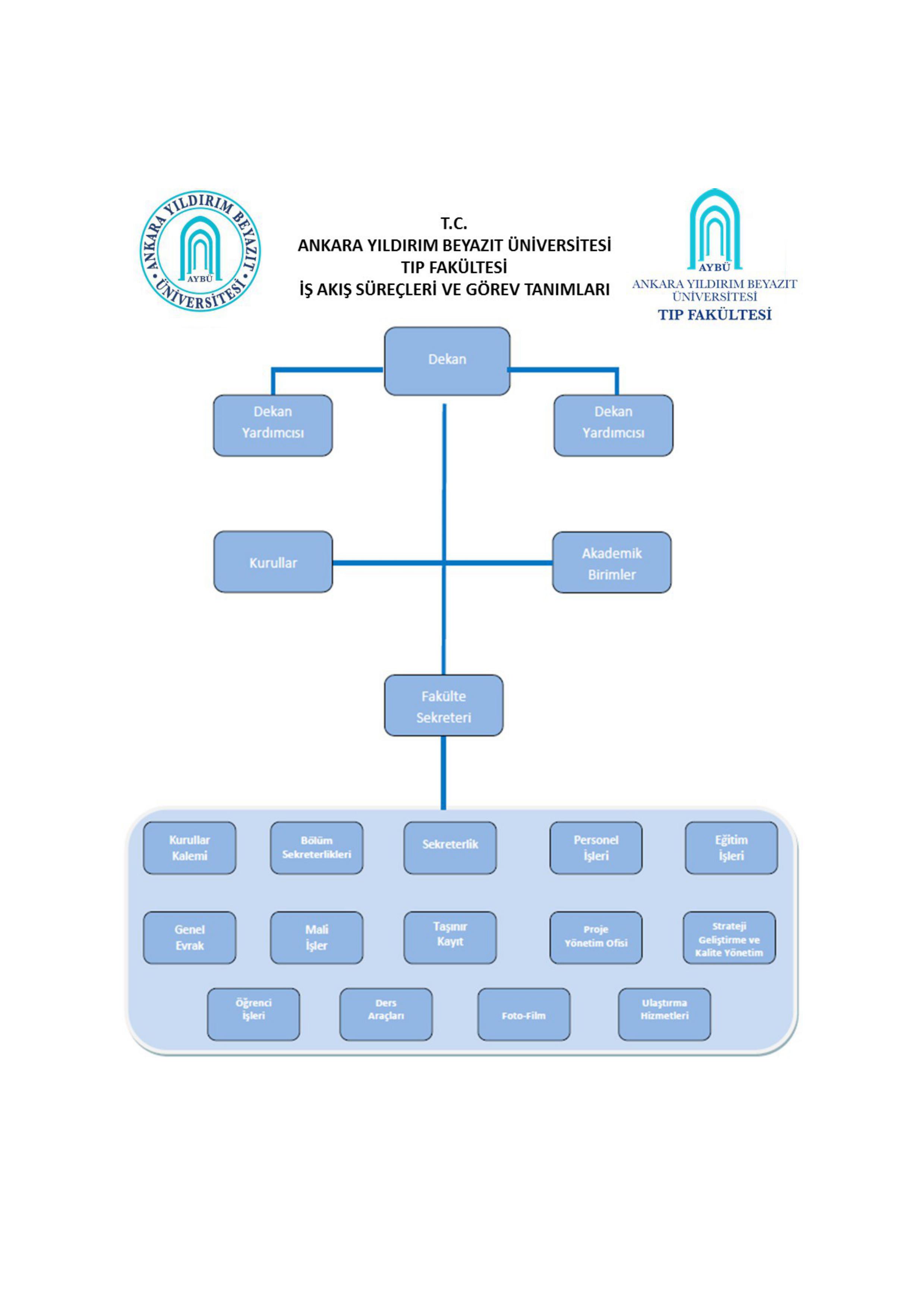 Organizsayon Şeması