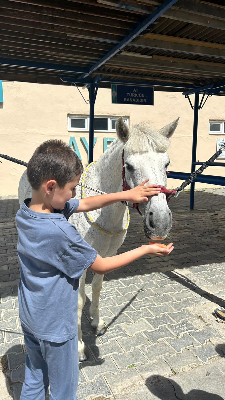 WhatsApp Image 2025-07-14 at 21.09.40 (3).jpeg