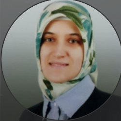  Hüsniye BİLGE SERTDEMİR