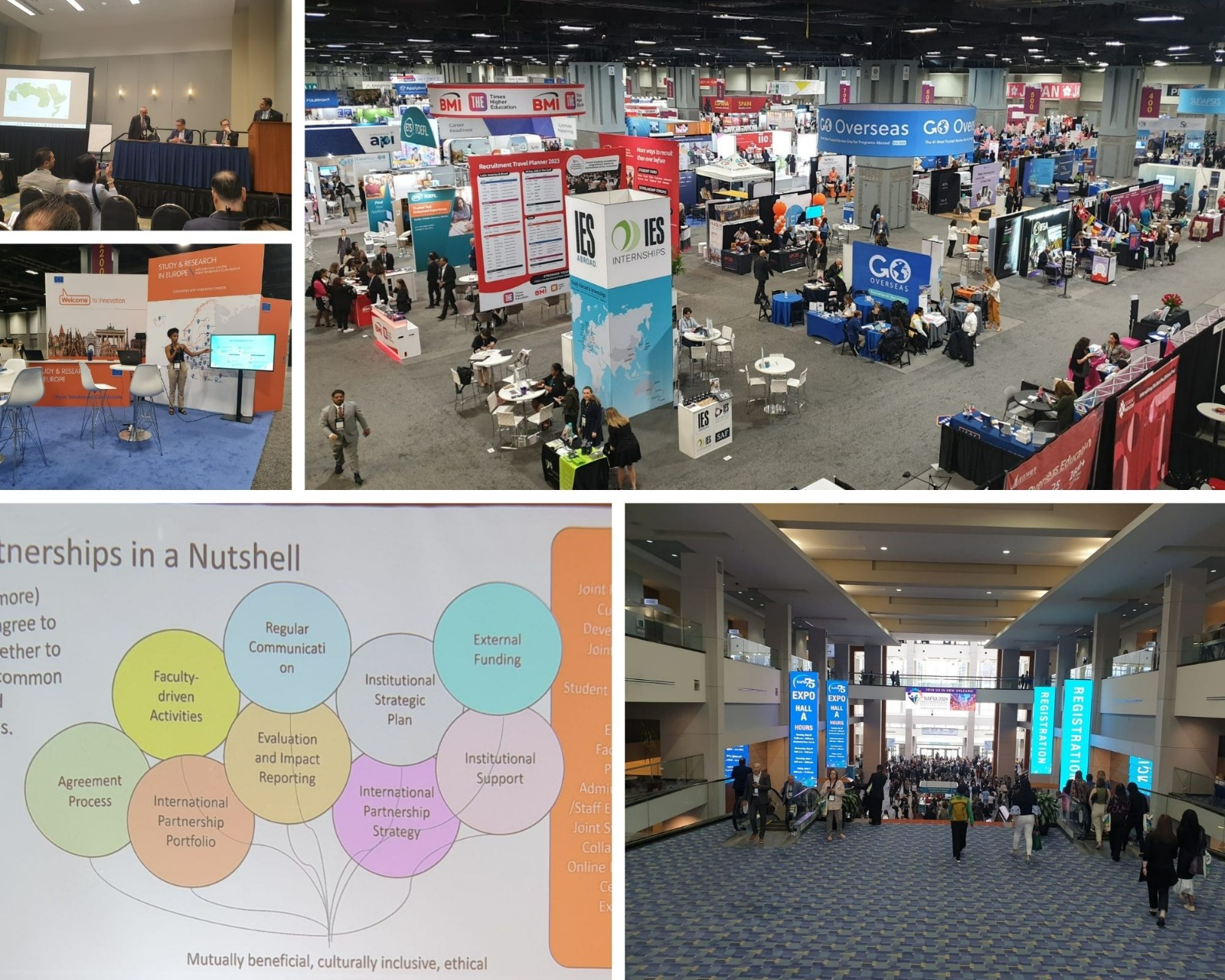 WhatsApp Image 2023-06-07 at 13.55.44.jpeg