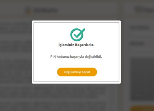 pin-islemleri-e-imza-adım-17