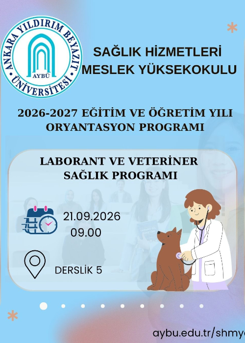 lvs