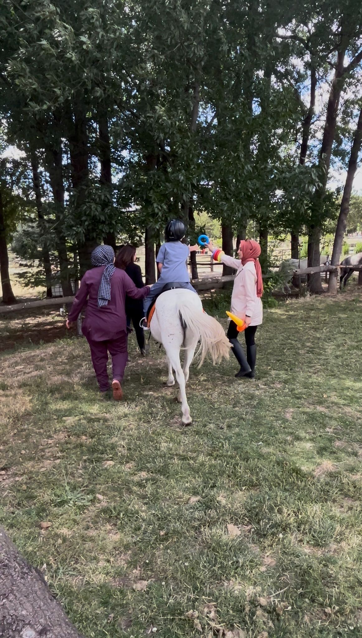 WhatsApp Image 2025-07-14 at 21.09.39.jpeg