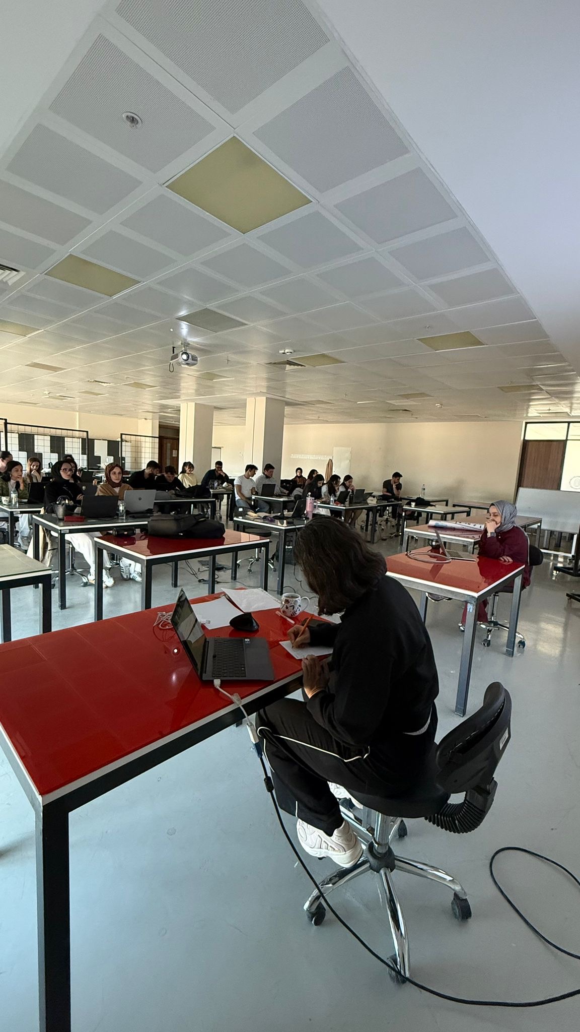 VITIUM PLICAE PRION: INSPIRED 3D MODEL PRODUCTION