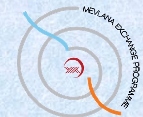 Mevlana Değişim Programı İngilizce Seviye Tespit Sınavı