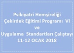 Psikiyatri Hemşireliği Çekirdek Eğitimi Programı  VI ve Uygulama  Standartları Çalıştayı 