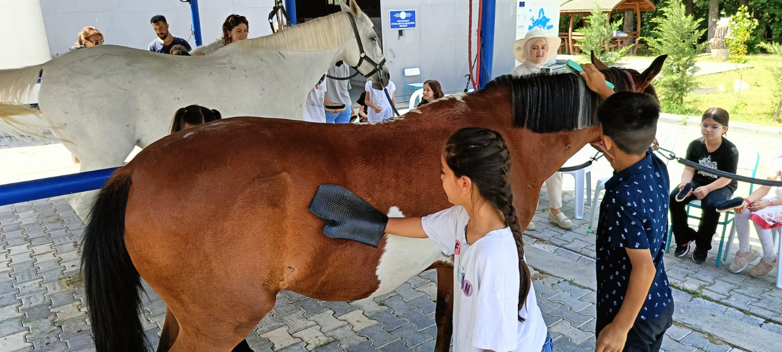 Çubuk İlçemizdeki Çocuklar Atlarla Tanıştı