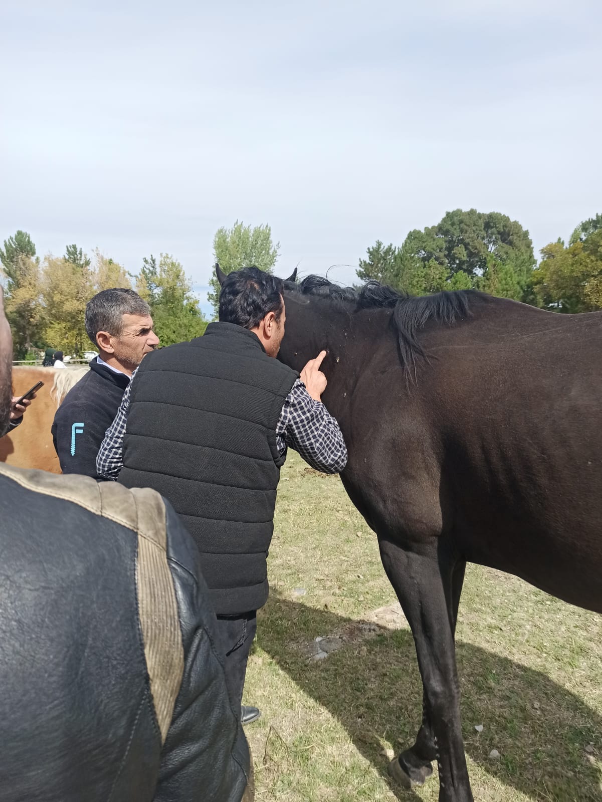 İLÇE TARIM MÜDÜRLÜĞÜ ATLARIMIZI KONTROL ETTİ