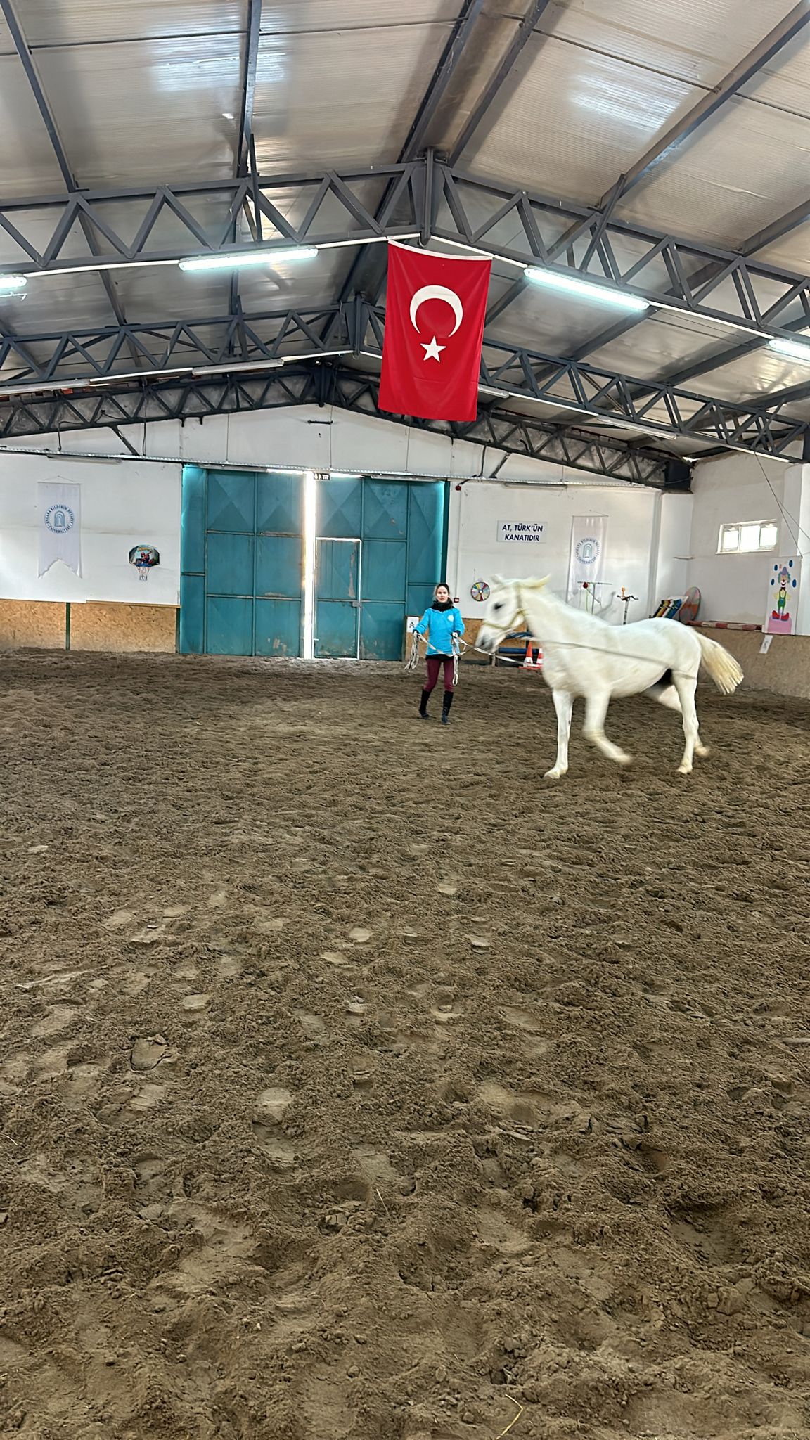 ATÇILIK VE ANTRENÖRLÜĞÜ ÖĞRENCİLERİMİZ MÜDJE SU İSİMLİ ATIMIZLA LONJ EĞİTİMDE