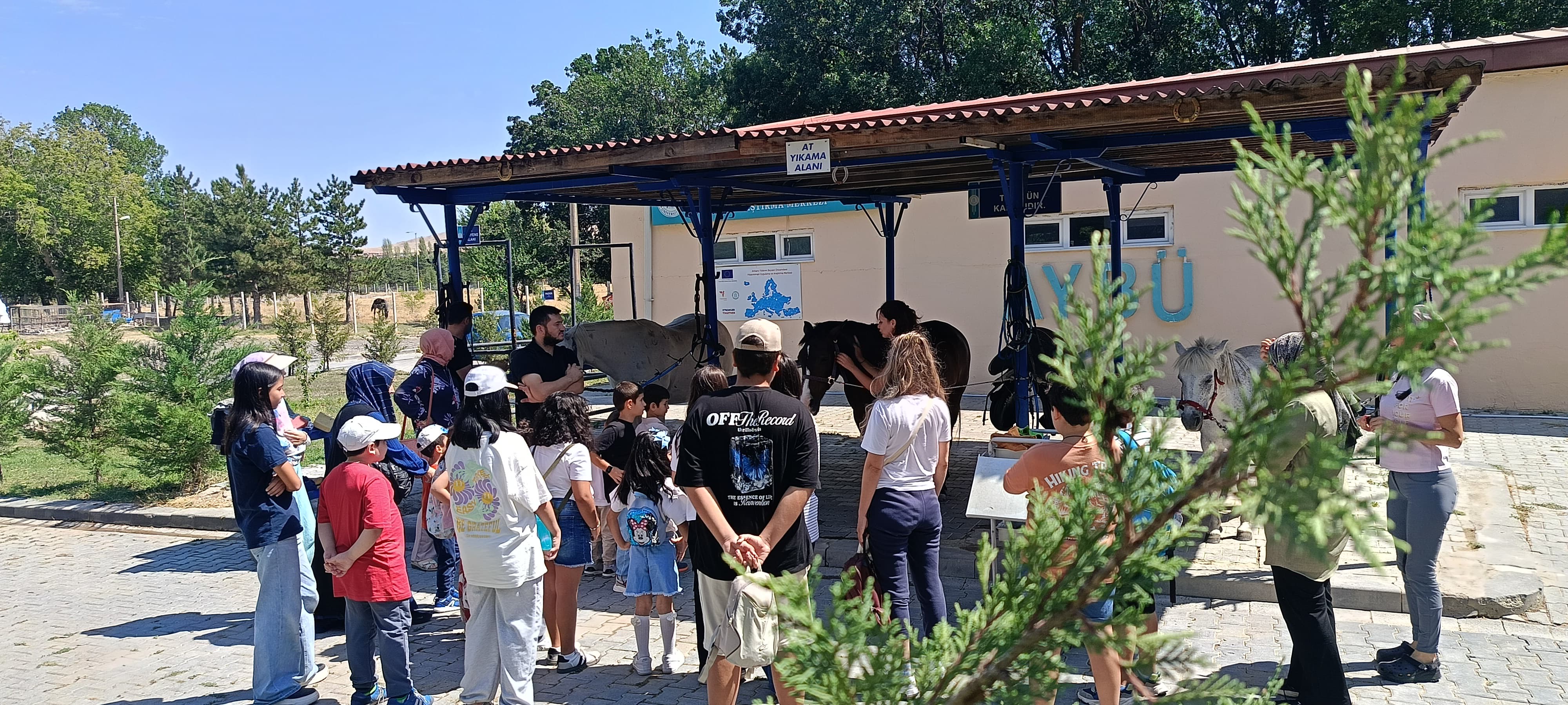 AYBÜ Personel Çocukları ve Ailelerine At Binişi Düzenlendi