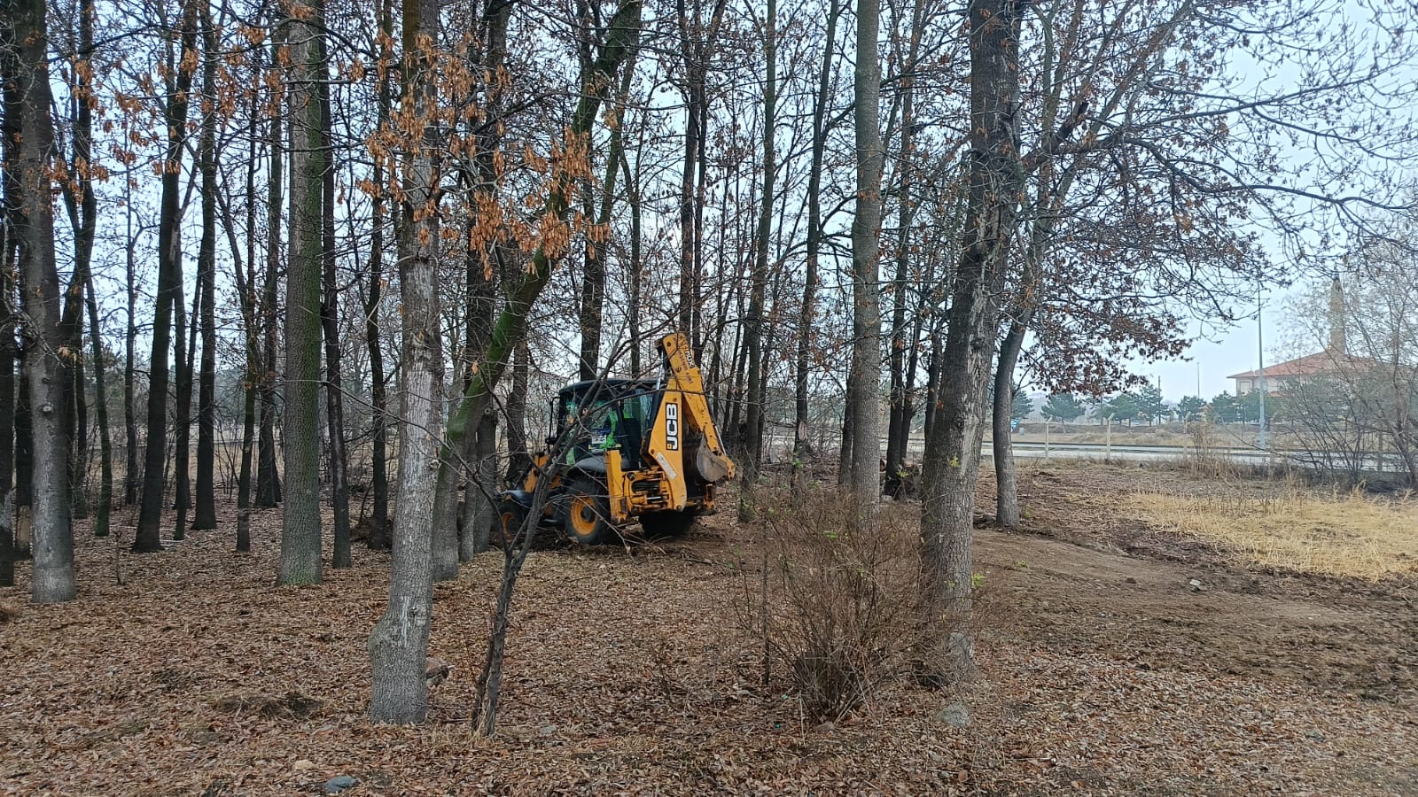 At Eğitim Alanları Düzenleme Çalışmaları