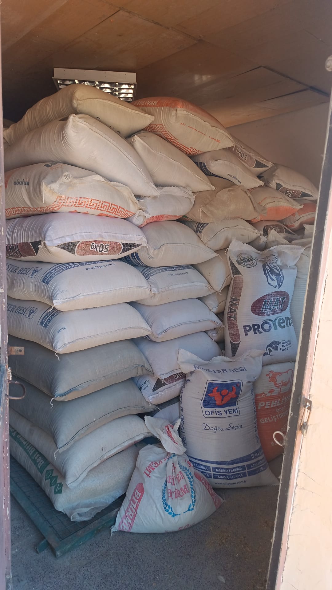 Atların Beslenmesi İçin Arpa Alımı Yapıldı