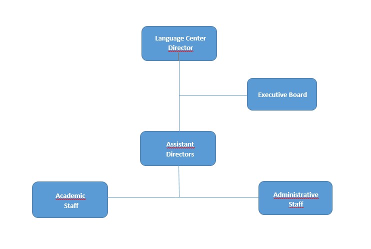 Organizasyonel Yapı