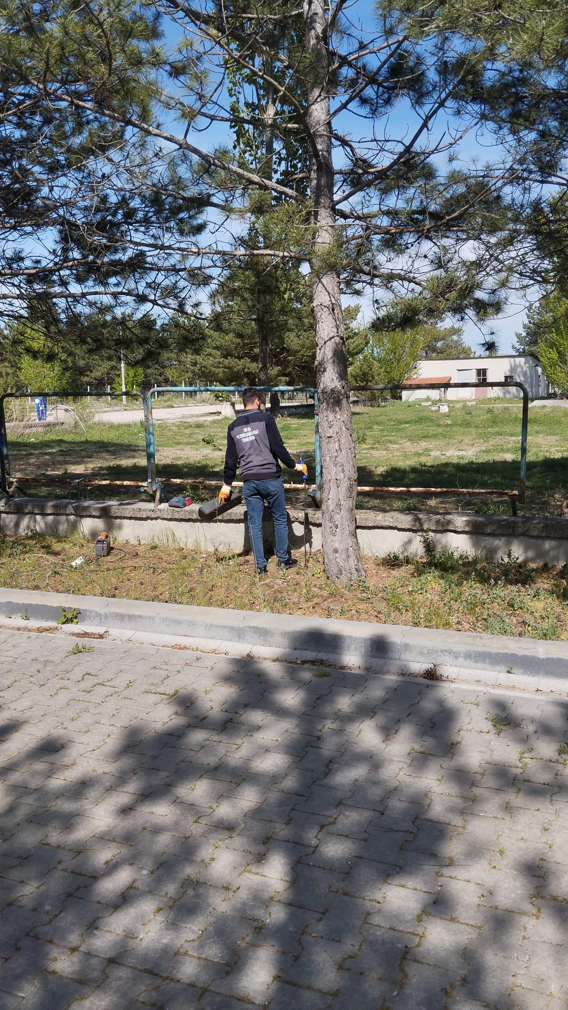 ATLARIMIZIN REFAHI İÇİN PADOK ÇALIŞMASI BAŞLATILDI