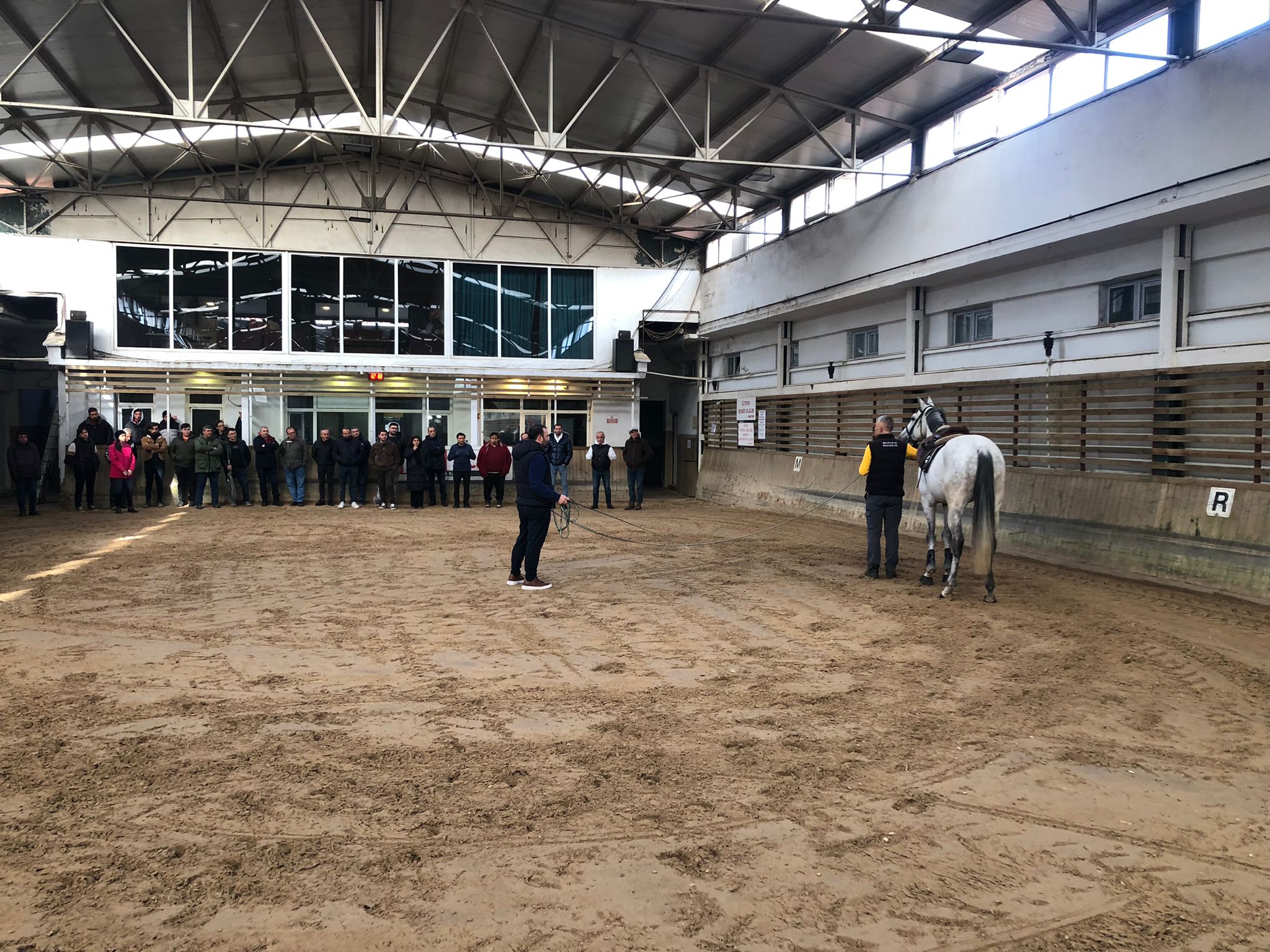 AYBÜ ve Türkiye Binicilik Federasyonu eğitim iş birliği ile seyisleri sertifikalandırıyor