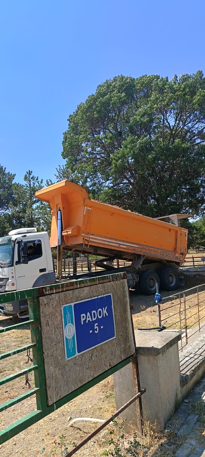 Atlarımızın Sağlığı İçin Padokların Zeminine Toprak Dökümü Gerçekleştirildi