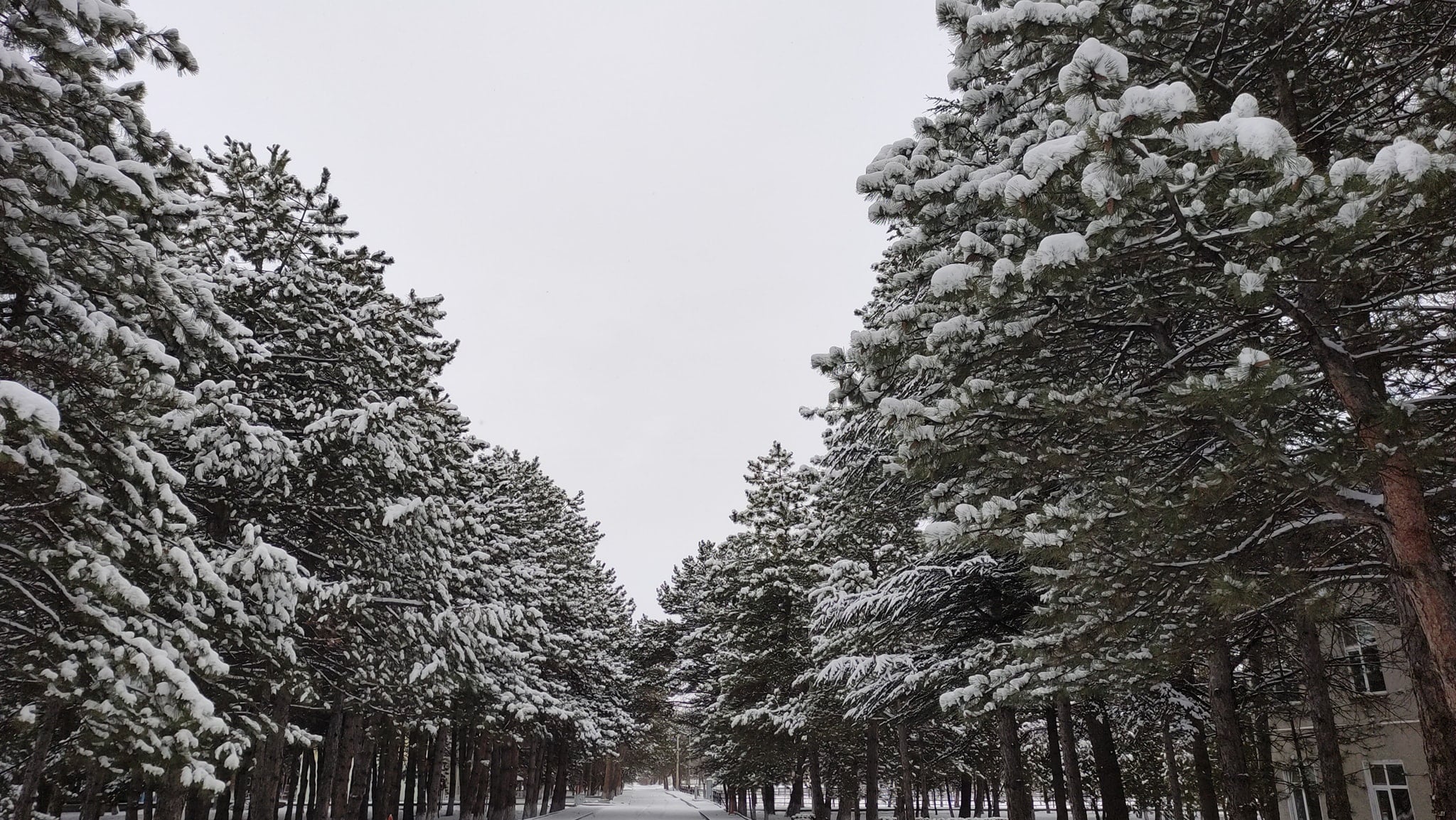 Yüz Yüze Eğitime 04 Ekim 2021 Tarihinde Başlıyoruz