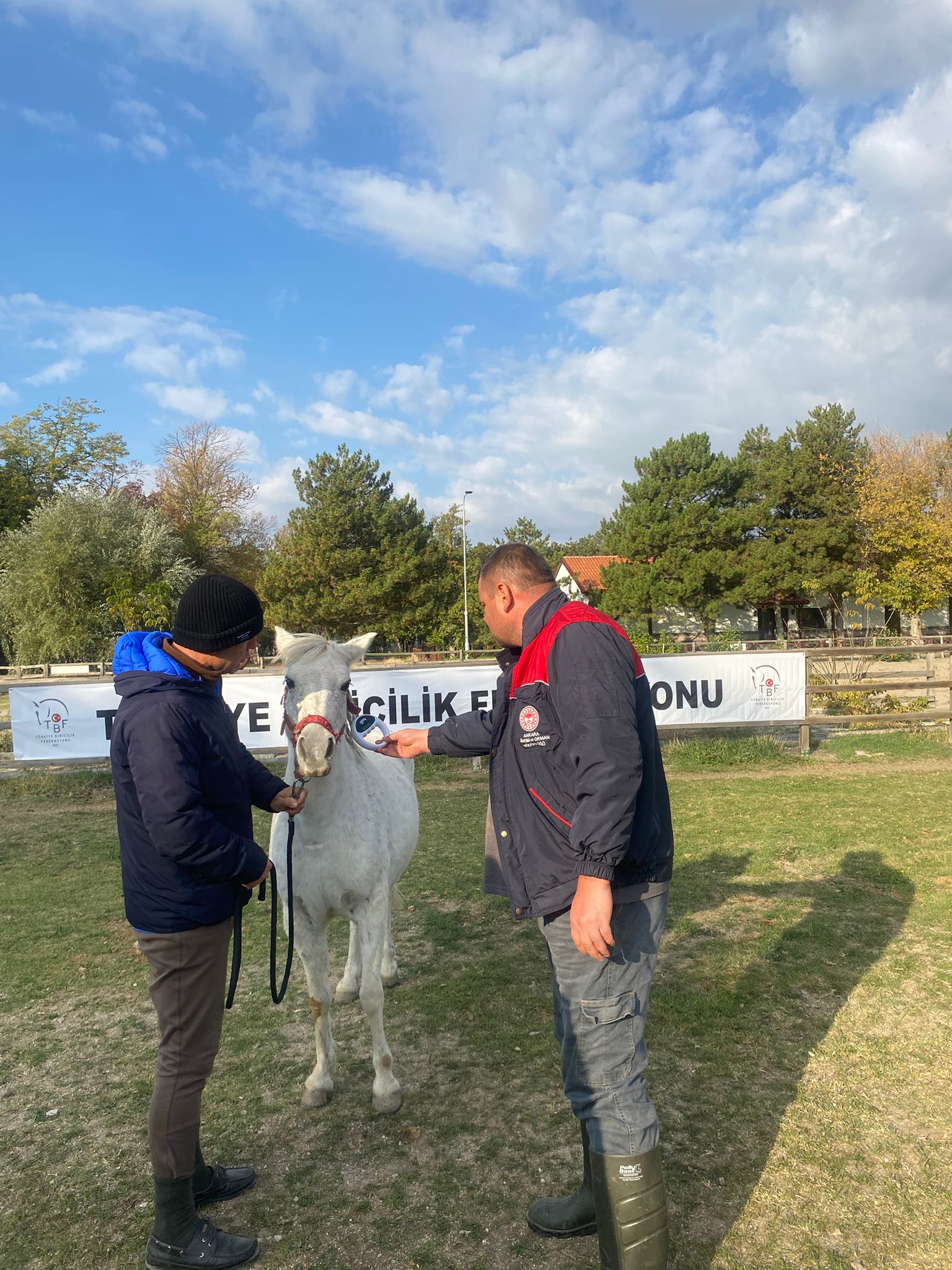 Çubuk İlçe Tarım Müdürlüğü Merkezimizdeki Atlarımızın Sağlığını Ve Çiplerini Kontrol Etti