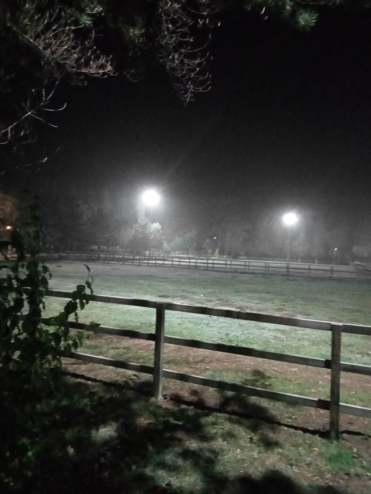 AT EĞİTİMLERİ İÇİN AÇIK MANEJLERİMİZ VE PADOKLARIMIZIN AYDINLATMA ÇALIŞMALARI TAMAMLANDI