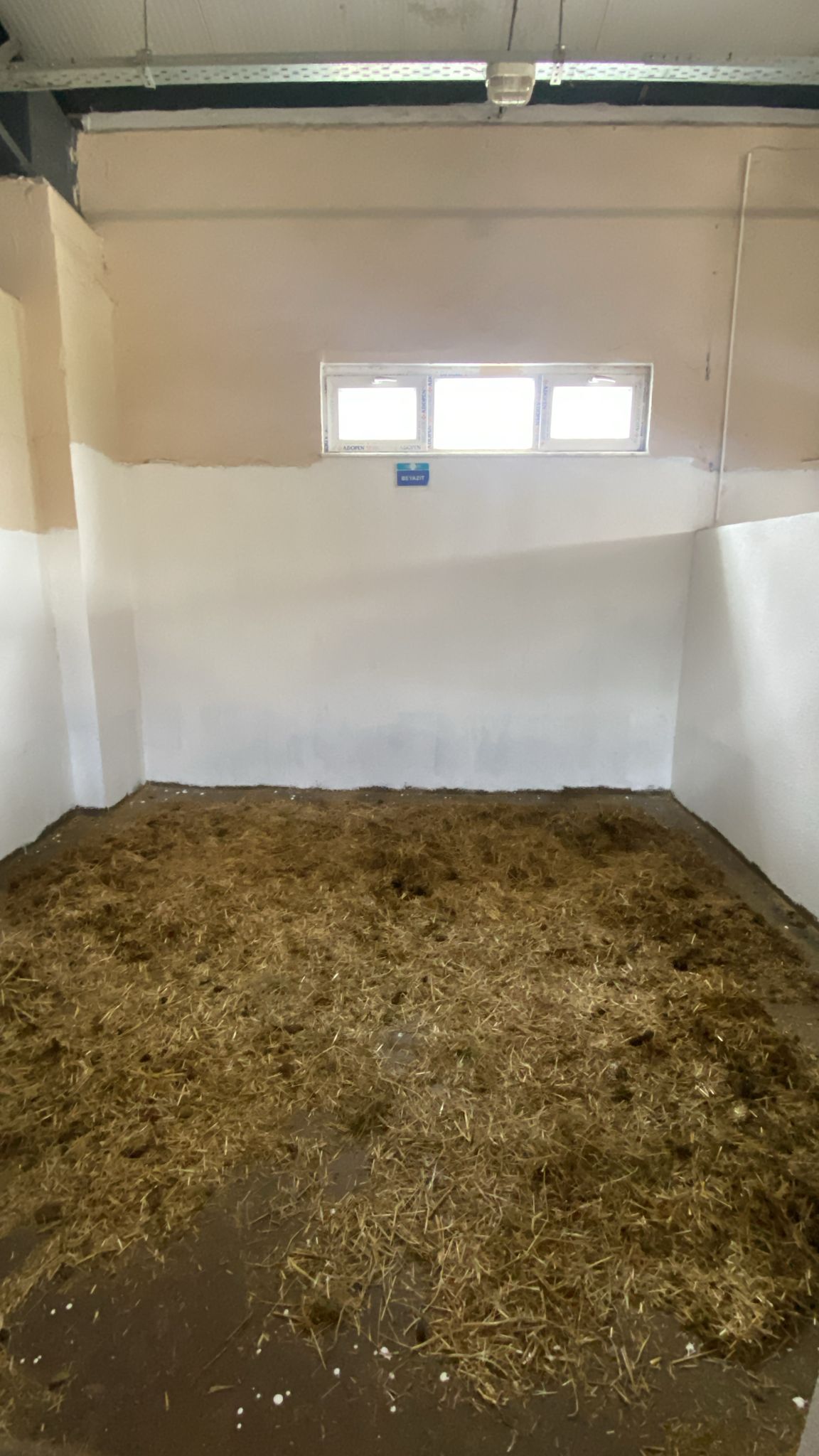 Atlarımızın Boxlarının Yaz Temizliği Boyasına Başlanıldı