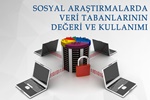 Sosyal Araştırmalarda Veri Tabanlarının Değeri ve Kullanımı