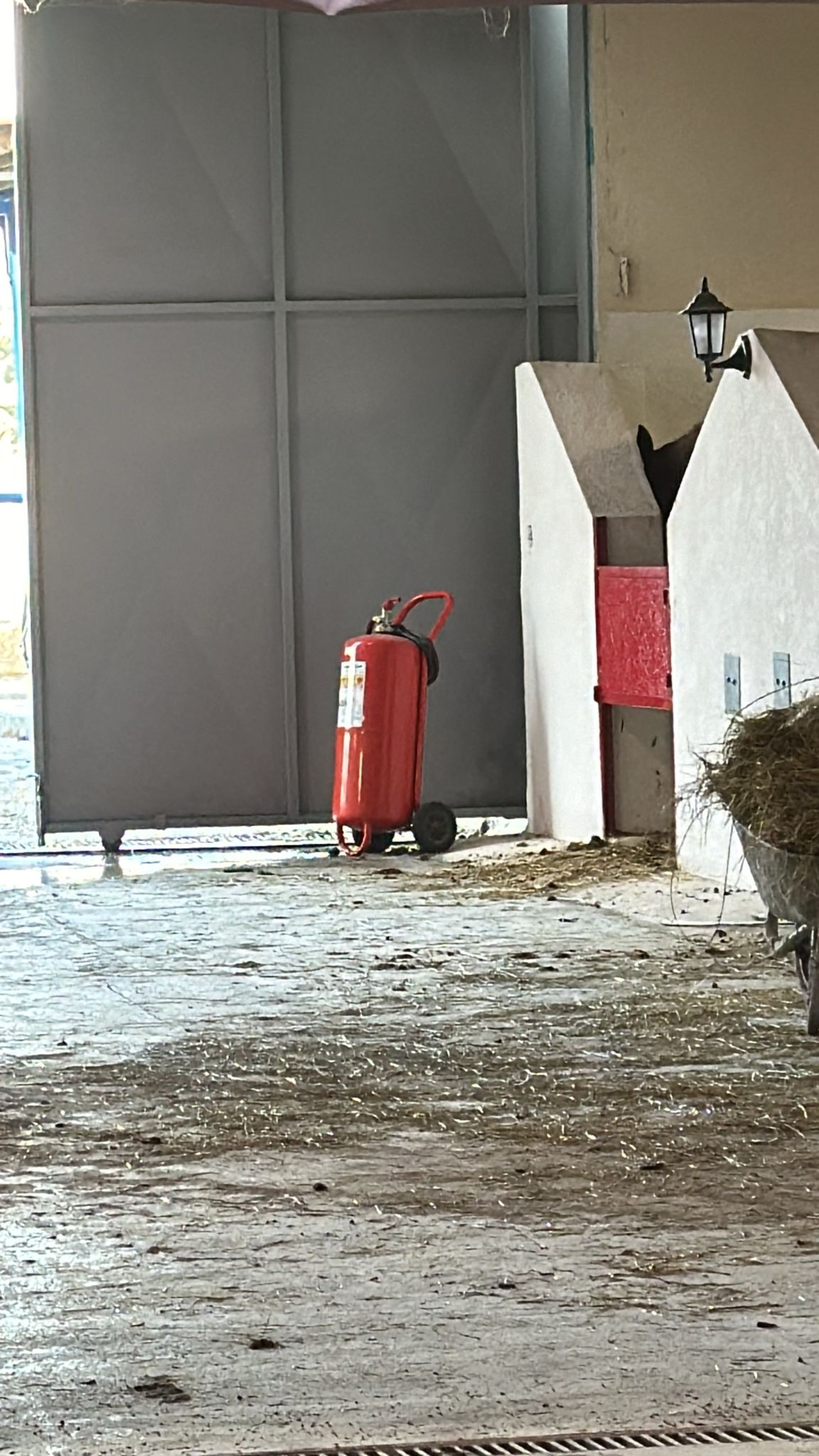 HİPPOTERAPİ MERKEZİMİZE YANGIN SÖNDÜRME TÜPLERİ KONULDU