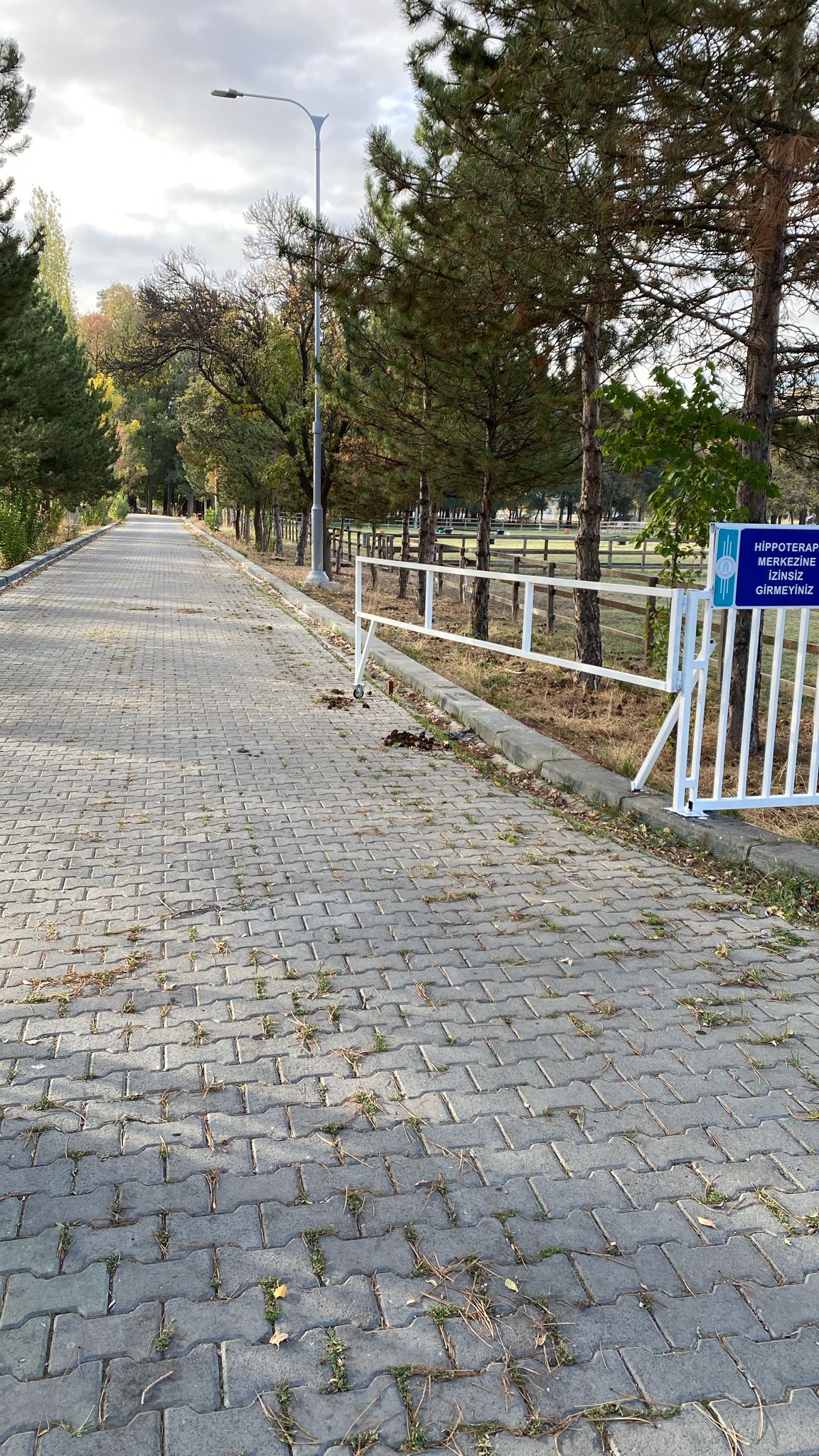 Merkezimizin Giriş Kapısı Boyandı