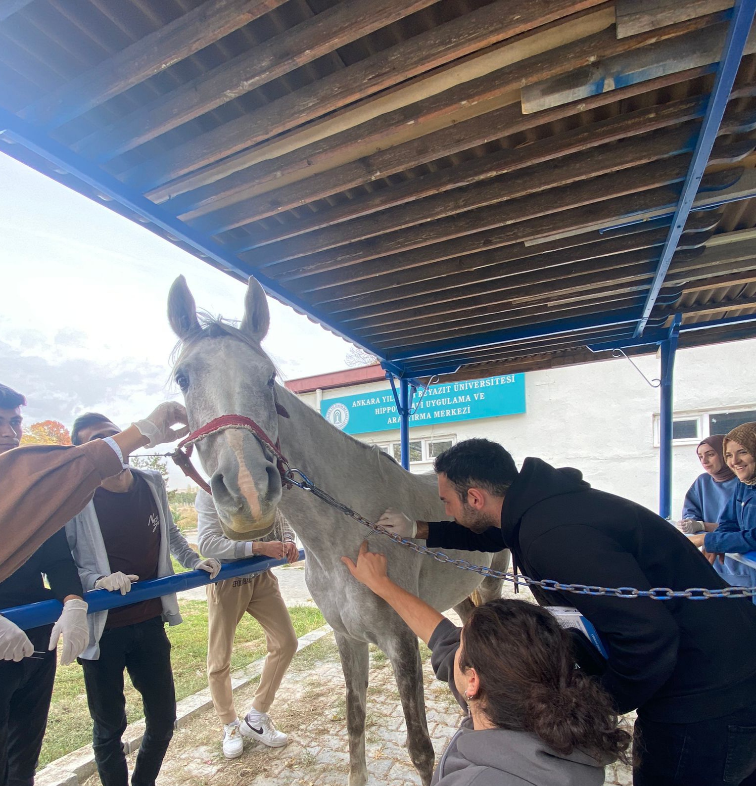 ATLARIMIZIN SAĞLIĞI İÇİN KENE İLE MÜCADELE İLAÇLAMALARI YAPILDI