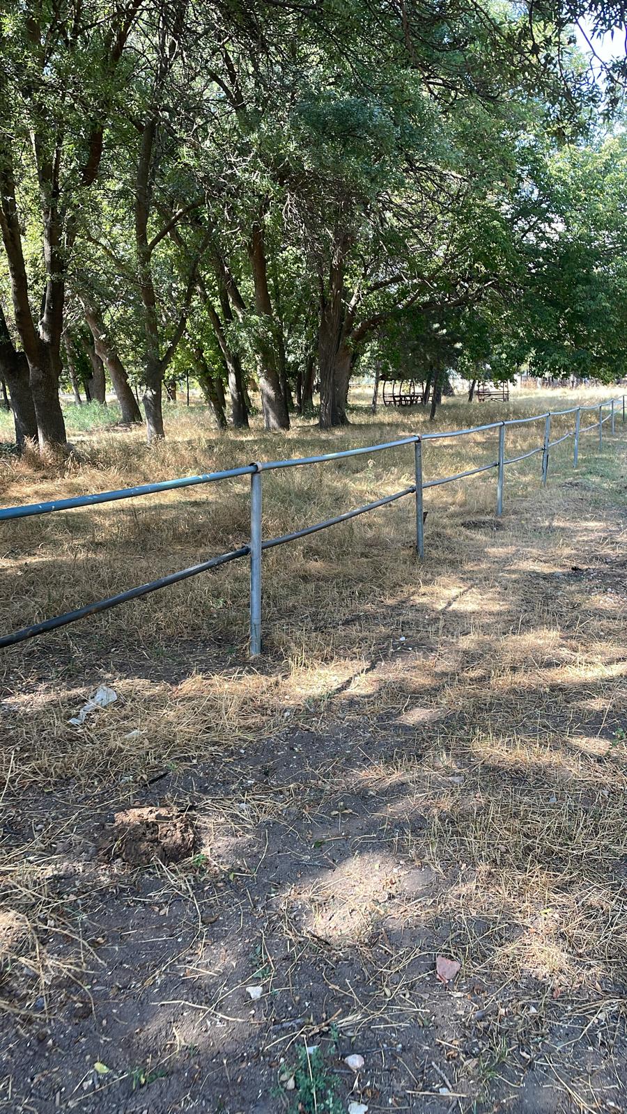 Atlar İçin Padok Yapıldı