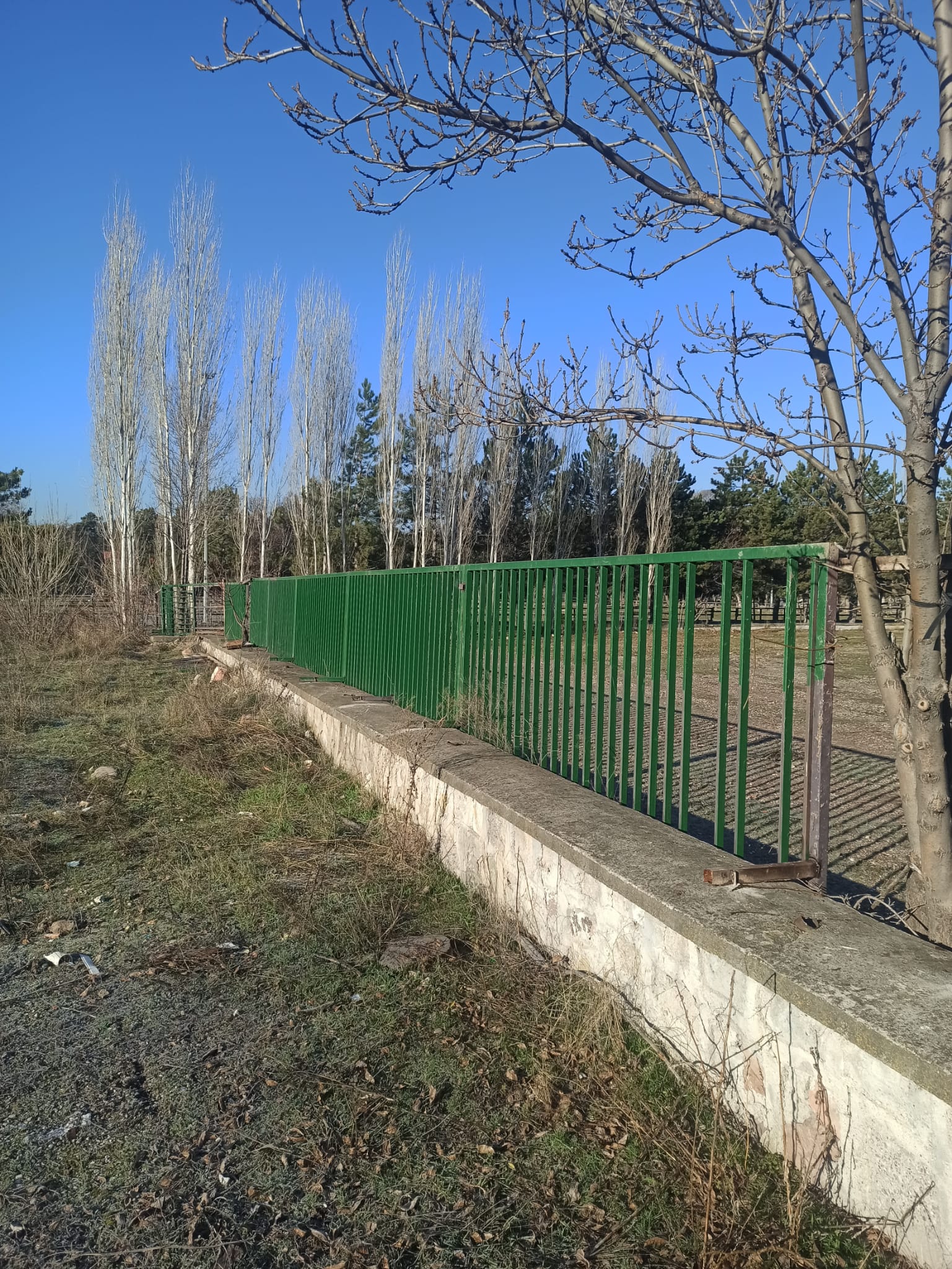 ATLARIMIZIN REFAHI VE SAĞLIĞI İÇİN YENİ PADOK ALANI ÇALIŞMASINA BAŞLANILDI