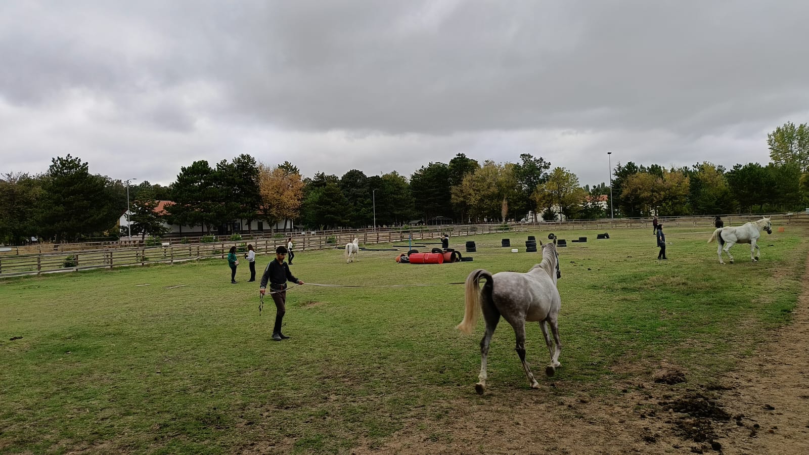 Atçılık ve Antrenörlüğü Programı 1. Sınıf Öğrencilerimiz At Eğitiminde
