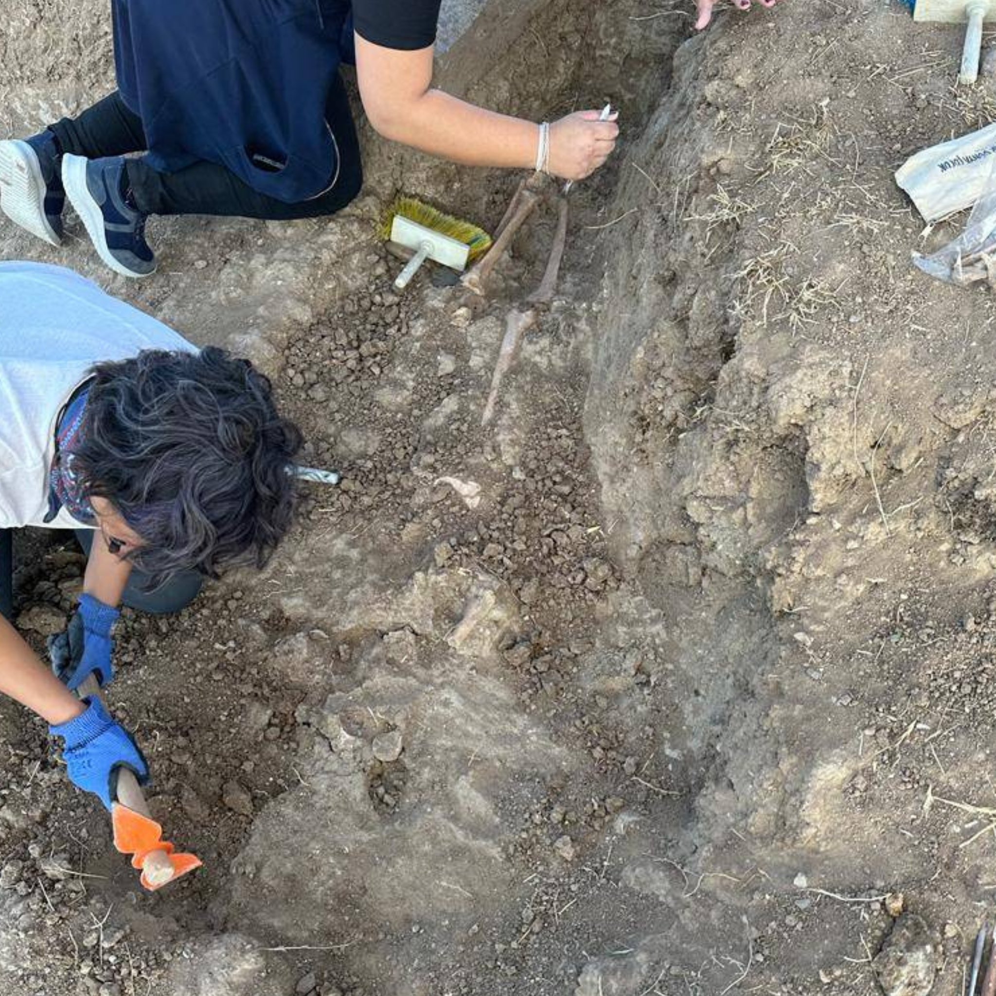 Ankara Savaşı Kazılarında Kılıç Kesiği Olan Kemikler Bulundu