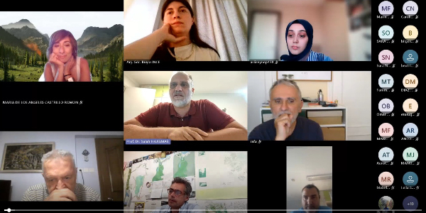 Online Meeting