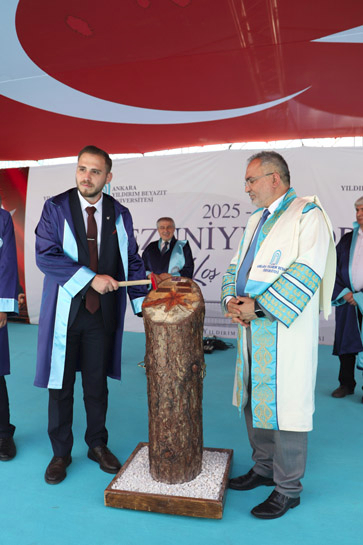 Kütüğe isim